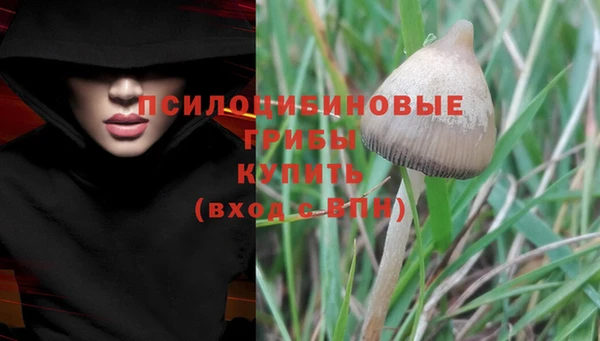 ALPHA PVP Богородицк