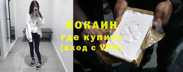 дмт Богородск