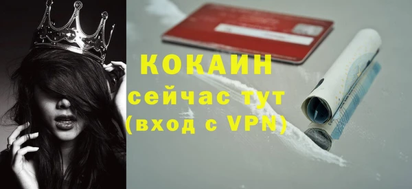 дмт Богородск