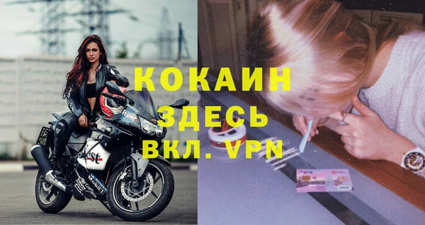 дмт Богородск