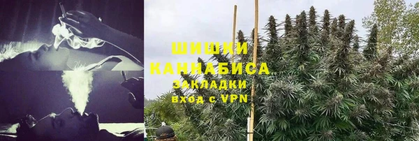 ALPHA PVP Богородицк