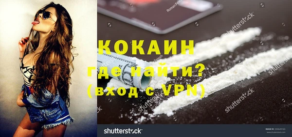 дмт Богородск