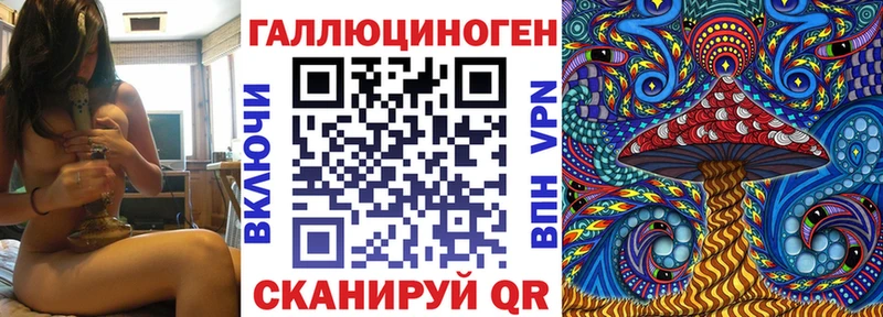 Галлюциногенные грибы Psilocybine cubensis  Пестово 